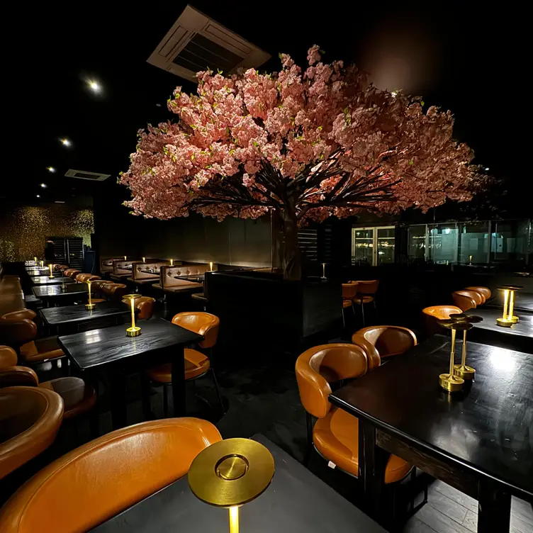 Roca Restaurant & Lounge